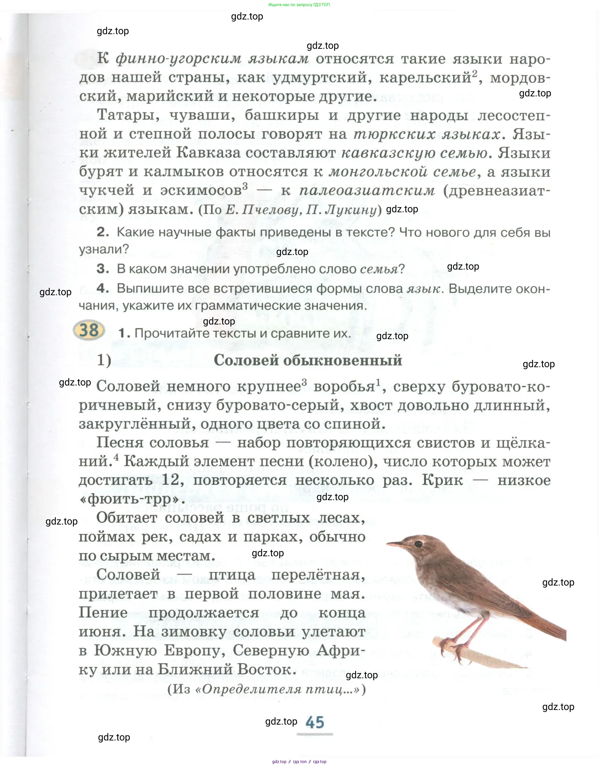 Русский язык, 6 класс Учебник, авторы: Быстрова Елена Александровна, Кибирёва Людмила Валентиновна, Гостева Юлия Николаевна, Антонова Евгения Станиславовна, издательство Русское слово, Москва, 2022, голубого цвета, Часть 1, страница 45