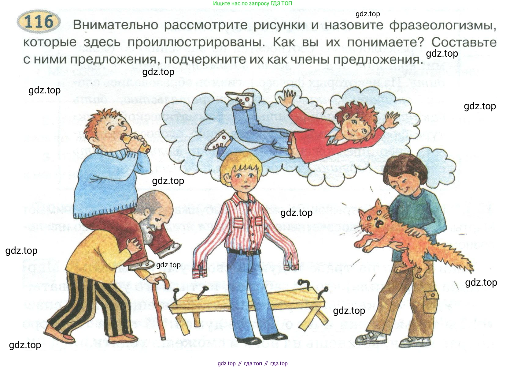 Русский язык, 6 класс Учебник, авторы: Быстрова Елена Александровна, Кибирёва Людмила Валентиновна, Гостева Юлия Николаевна, Антонова Евгения Станиславовна, издательство Русское слово, Москва, 2022, голубого цвета, Часть 1, страница 118, номер 116, Условие