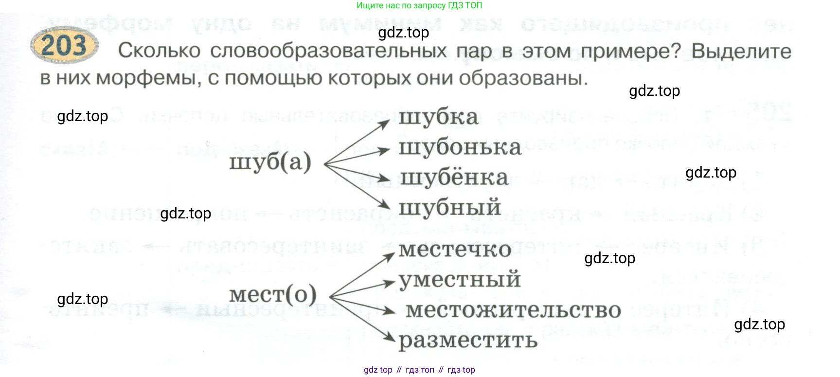 Русский язык, 6 класс Учебник, авторы: Быстрова Елена Александровна, Кибирёва Людмила Валентиновна, Гостева Юлия Николаевна, Антонова Евгения Станиславовна, издательство Русское слово, Москва, 2022, голубого цвета, Часть 1, страница 165, номер 203, Условие