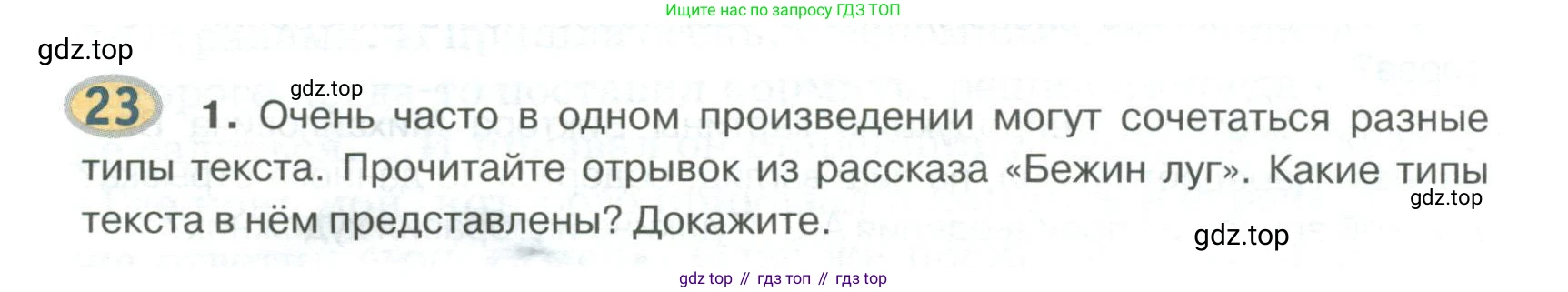 Русский язык, 6 класс Учебник, авторы: Быстрова Елена Александровна, Кибирёва Людмила Валентиновна, Гостева Юлия Николаевна, Антонова Евгения Станиславовна, издательство Русское слово, Москва, 2022, голубого цвета, Часть 1, страница 24, номер 23, Условие