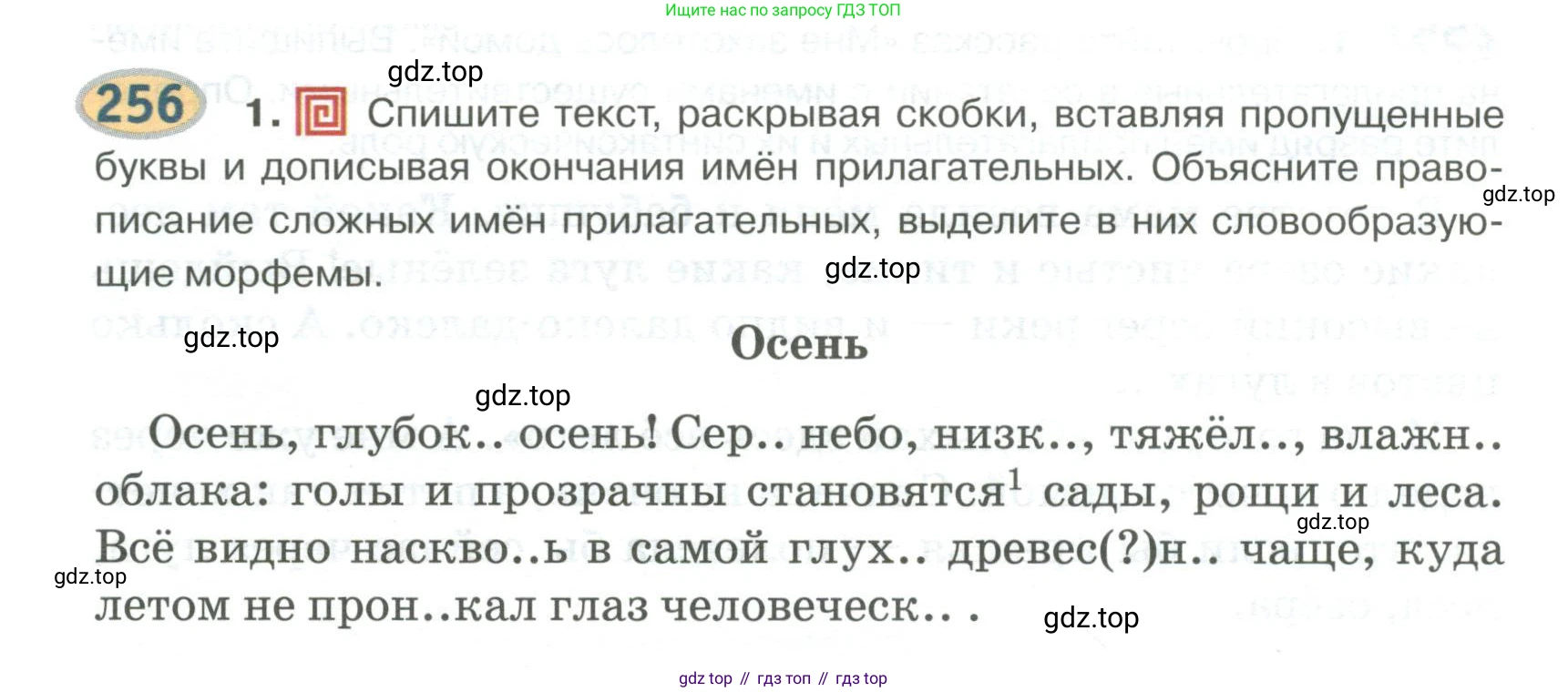 Русский язык, 6 класс Учебник, авторы: Быстрова Елена Александровна, Кибирёва Людмила Валентиновна, Гостева Юлия Николаевна, Антонова Евгения Станиславовна, издательство Русское слово, Москва, 2022, голубого цвета, Часть 1, страница 204, номер 256, Условие
