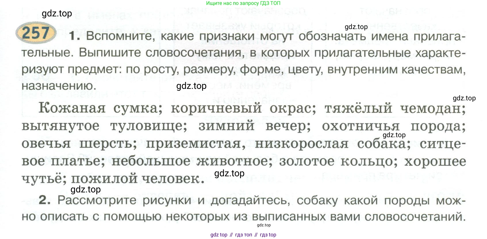 Русский язык, 6 класс Учебник, авторы: Быстрова Елена Александровна, Кибирёва Людмила Валентиновна, Гостева Юлия Николаевна, Антонова Евгения Станиславовна, издательство Русское слово, Москва, 2022, голубого цвета, Часть 1, страница 205, номер 257, Условие