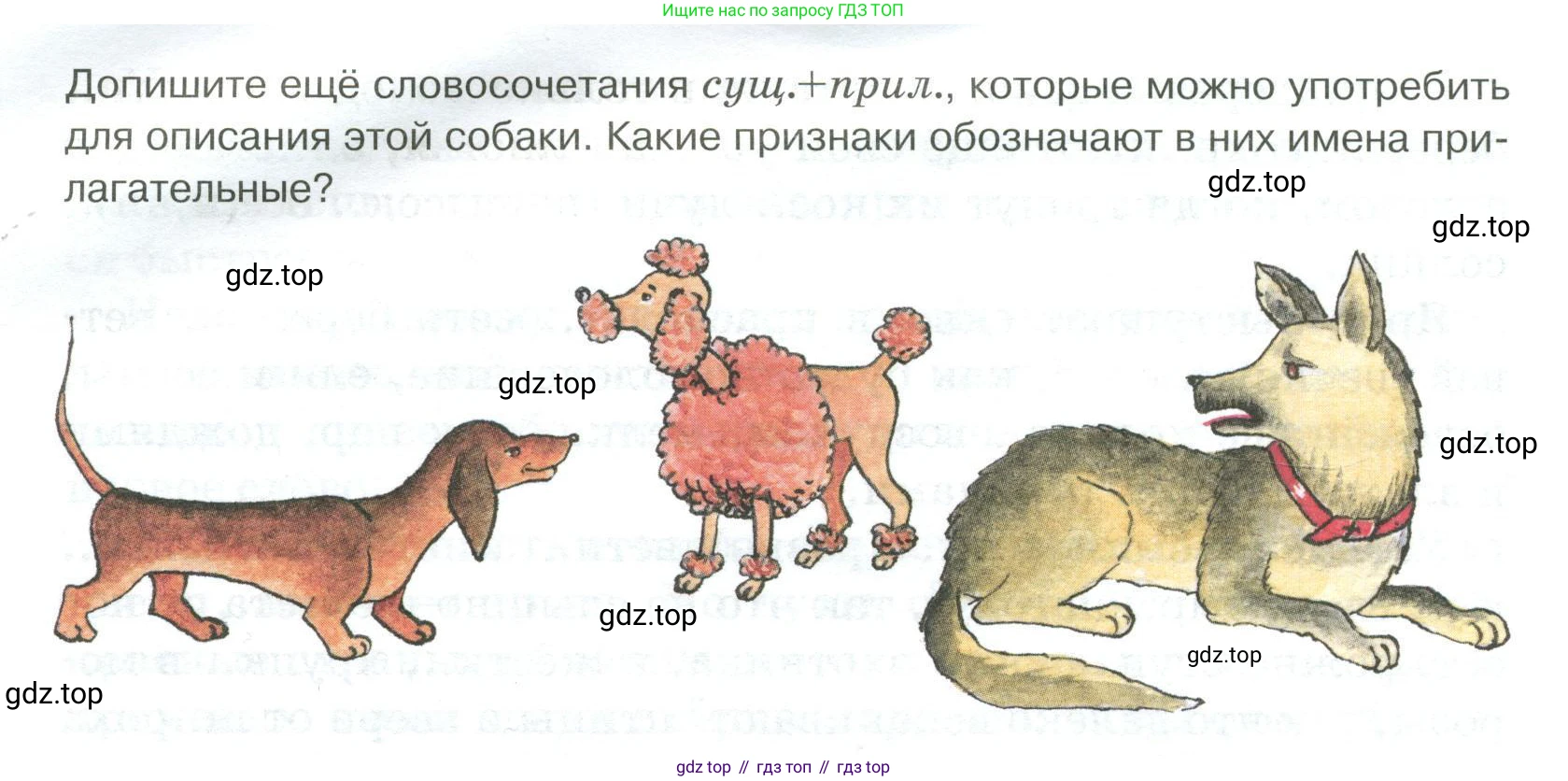 Русский язык, 6 класс Учебник, авторы: Быстрова Елена Александровна, Кибирёва Людмила Валентиновна, Гостева Юлия Николаевна, Антонова Евгения Станиславовна, издательство Русское слово, Москва, 2022, голубого цвета, Часть 1, страница 205, номер 257, Условие (продолжение 2)
