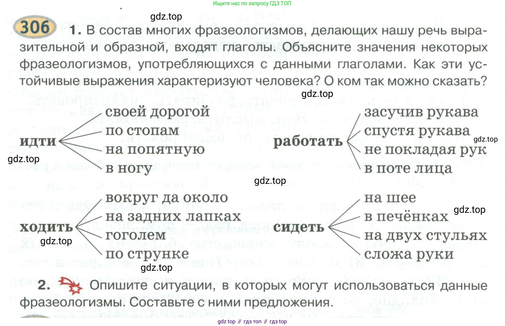 Русский язык, 6 класс Учебник, авторы: Быстрова Елена Александровна, Кибирёва Людмила Валентиновна, Гостева Юлия Николаевна, Антонова Евгения Станиславовна, издательство Русское слово, Москва, 2022, голубого цвета, Часть 1, страница 240, номер 306, Условие