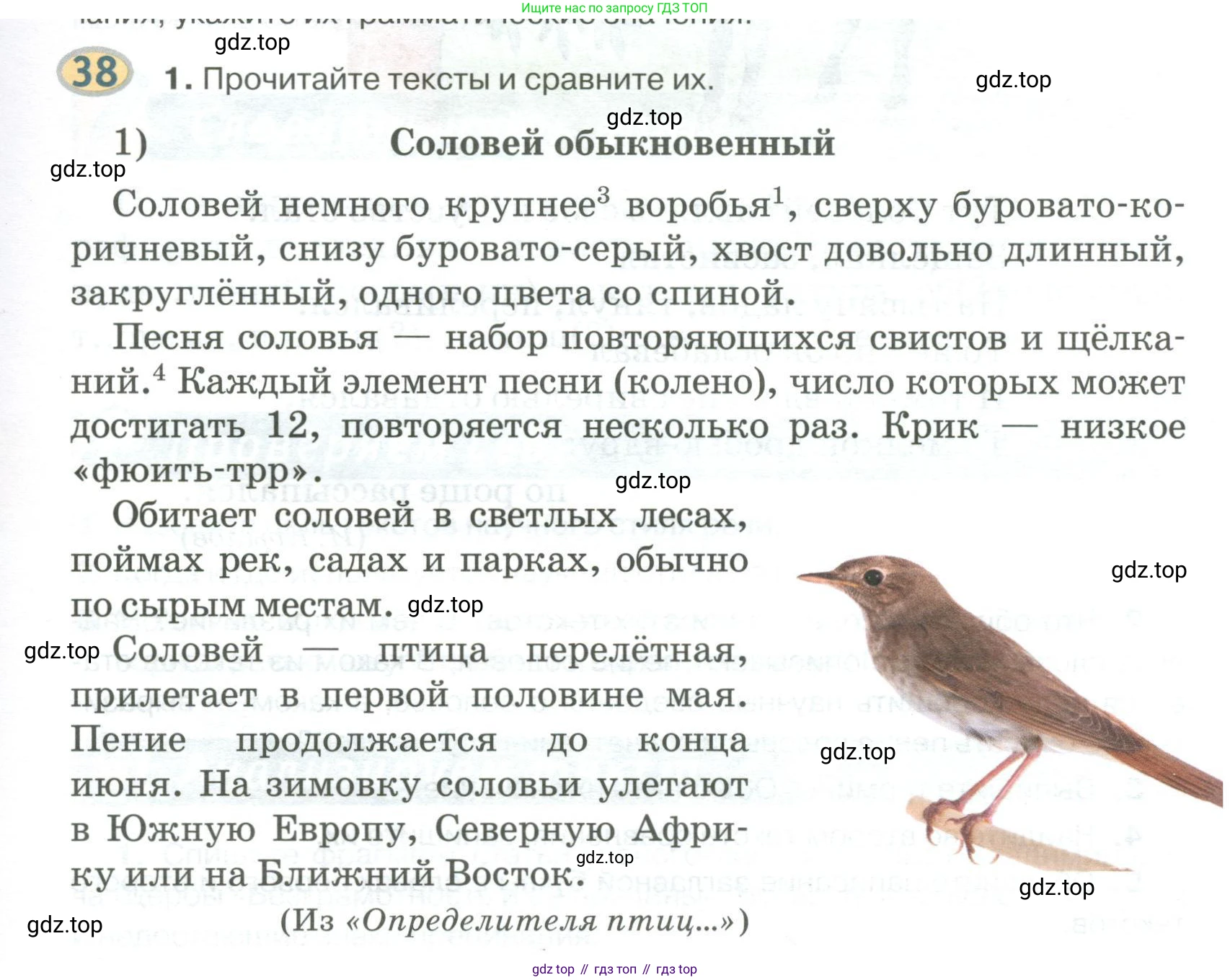Русский язык, 6 класс Учебник, авторы: Быстрова Елена Александровна, Кибирёва Людмила Валентиновна, Гостева Юлия Николаевна, Антонова Евгения Станиславовна, издательство Русское слово, Москва, 2022, голубого цвета, Часть 1, страница 45, номер 38, Условие