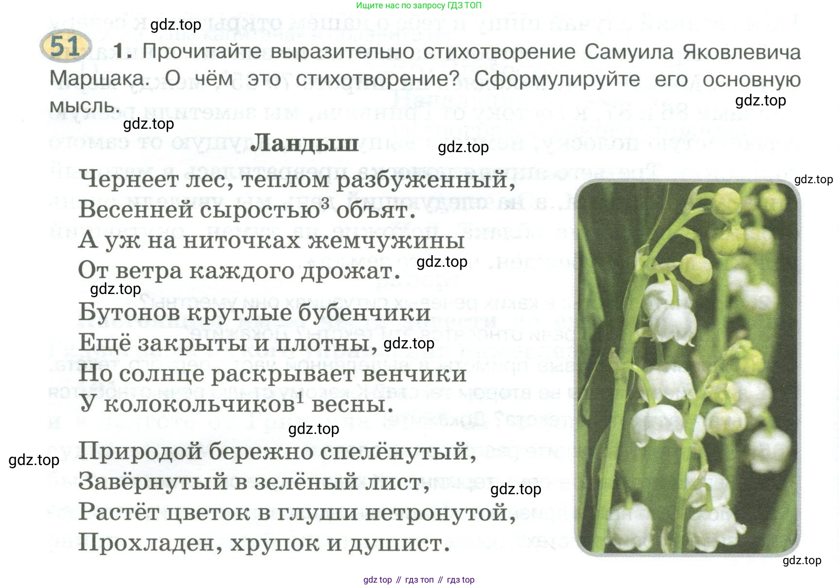 Русский язык, 6 класс Учебник, авторы: Быстрова Елена Александровна, Кибирёва Людмила Валентиновна, Гостева Юлия Николаевна, Антонова Евгения Станиславовна, издательство Русское слово, Москва, 2022, голубого цвета, Часть 1, страница 60, номер 51, Условие