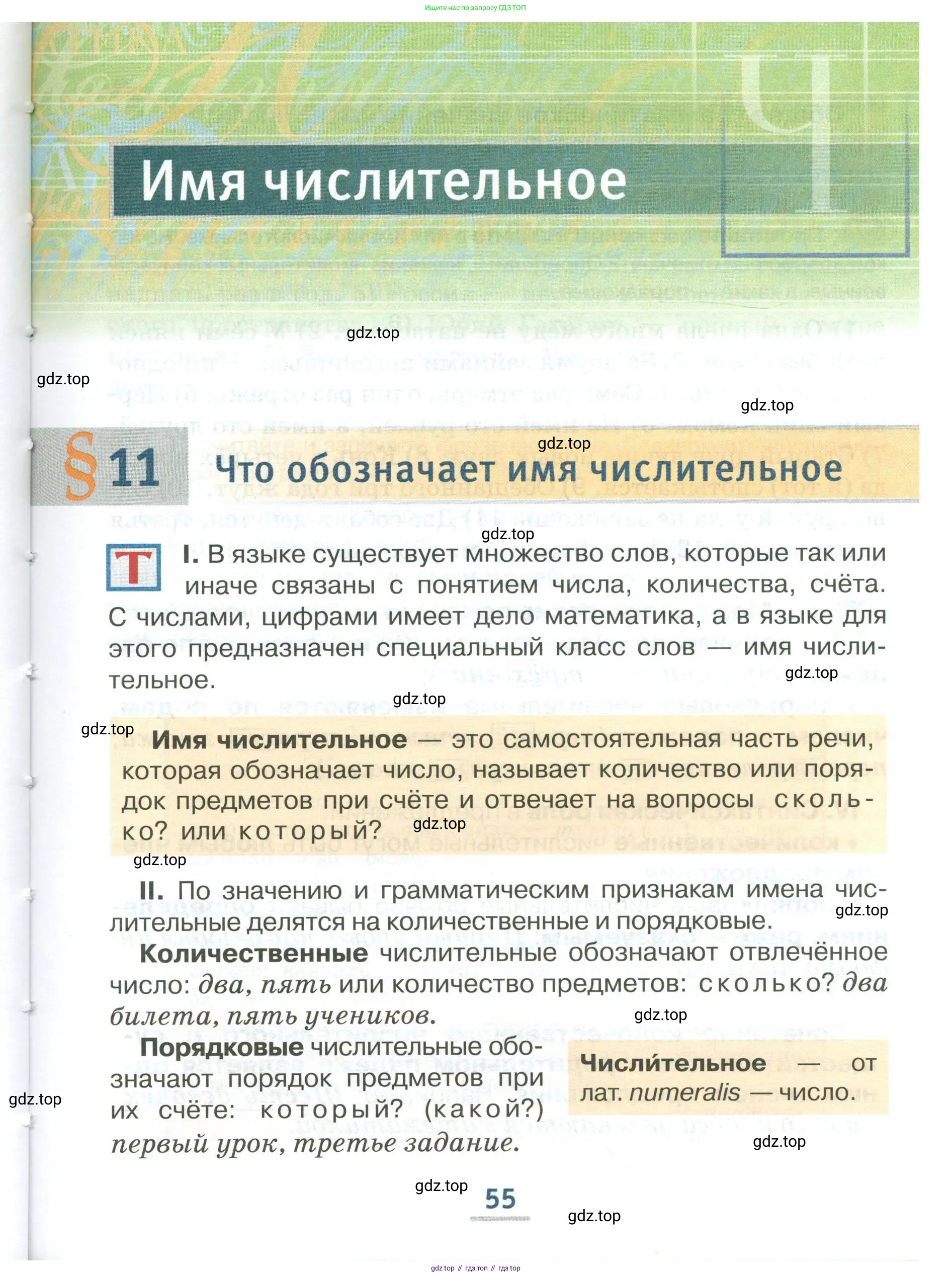 Русский язык, 6 класс Учебник, авторы: Быстрова Елена Александровна, Кибирёва Людмила Валентиновна, Гостева Юлия Николаевна, Антонова Евгения Станиславовна, издательство Русское слово, Москва, 2022, голубого цвета, Часть 1, страница 55