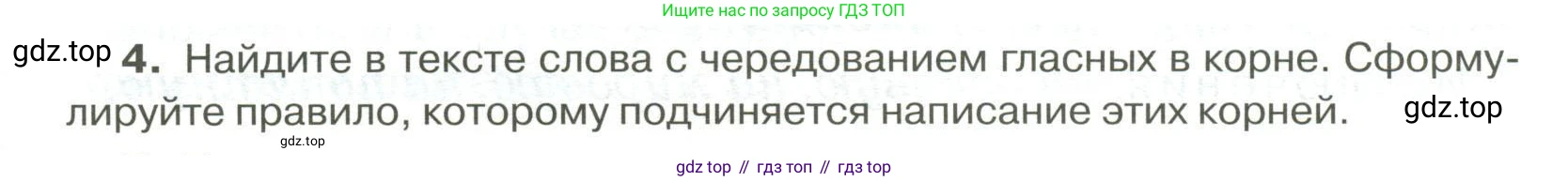 Русский язык, 6 класс Учебник, авторы: Быстрова Елена Александровна, Кибирёва Людмила Валентиновна, Гостева Юлия Николаевна, Антонова Евгения Станиславовна, издательство Русское слово, Москва, 2022, голубого цвета, Часть 2, страница 141, номер 4, Условие