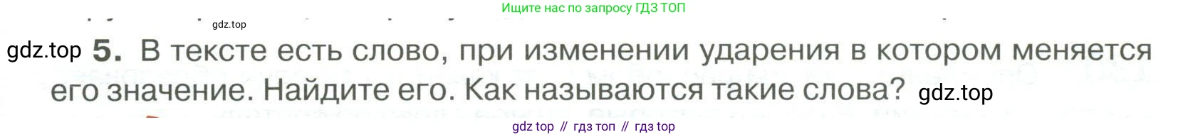 Русский язык, 6 класс Учебник, авторы: Быстрова Елена Александровна, Кибирёва Людмила Валентиновна, Гостева Юлия Николаевна, Антонова Евгения Станиславовна, издательство Русское слово, Москва, 2022, голубого цвета, Часть 2, страница 141, номер 5, Условие
