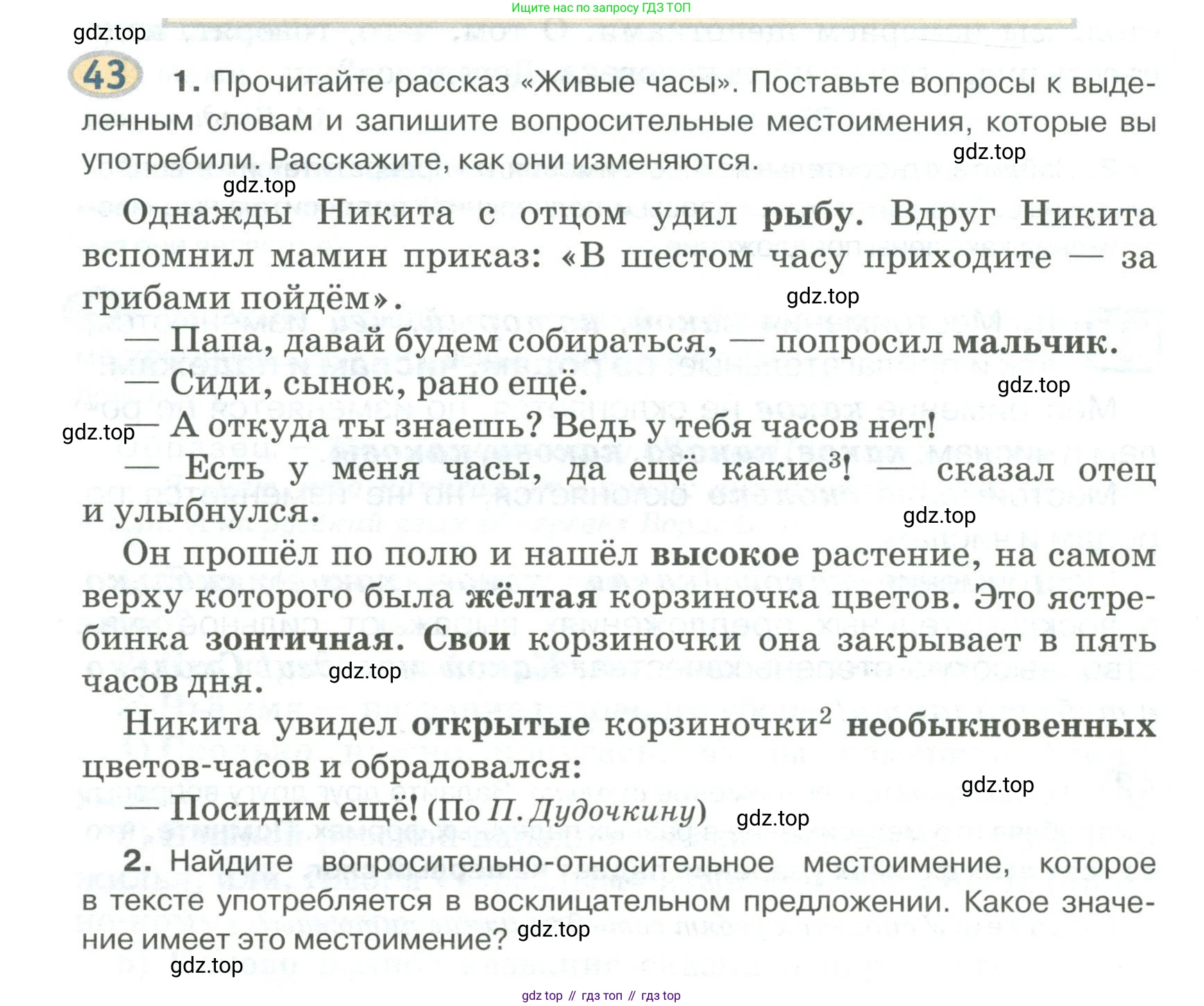 Русский язык, 6 класс Учебник, авторы: Быстрова Елена Александровна, Кибирёва Людмила Валентиновна, Гостева Юлия Николаевна, Антонова Евгения Станиславовна, издательство Русское слово, Москва, 2022, голубого цвета, Часть 2, страница 38, номер 43, Условие