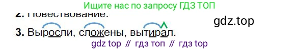 Русский язык, 6 класс Учебник, авторы: Быстрова Елена Александровна, Кибирёва Людмила Валентиновна, Гостева Юлия Николаевна, Антонова Евгения Станиславовна, издательство Русское слово, Москва, 2022, голубого цвета, Часть 1, страница 149, номер 3, Решение 1