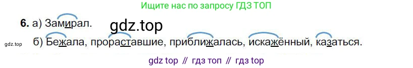 Русский язык, 6 класс Учебник, авторы: Быстрова Елена Александровна, Кибирёва Людмила Валентиновна, Гостева Юлия Николаевна, Антонова Евгения Станиславовна, издательство Русское слово, Москва, 2022, голубого цвета, Часть 1, страница 176, номер 6, Решение 1