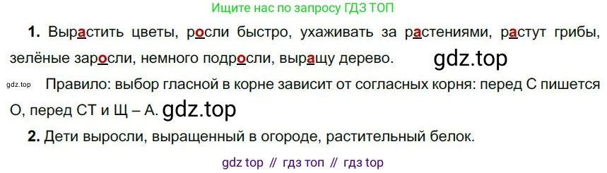 Русский язык, 6 класс Учебник, авторы: Быстрова Елена Александровна, Кибирёва Людмила Валентиновна, Гостева Юлия Николаевна, Антонова Евгения Станиславовна, издательство Русское слово, Москва, 2022, голубого цвета, Часть 1, страница 144, номер 164, Решение 1