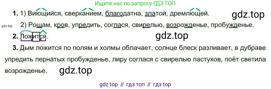 Русский язык, 6 класс Учебник, авторы: Быстрова Елена Александровна, Кибирёва Людмила Валентиновна, Гостева Юлия Николаевна, Антонова Евгения Станиславовна, издательство Русское слово, Москва, 2022, голубого цвета, Часть 1, страница 84, номер 81, Решение 1