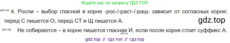 Русский язык, 6 класс Учебник, авторы: Быстрова Елена Александровна, Кибирёва Людмила Валентиновна, Гостева Юлия Николаевна, Антонова Евгения Станиславовна, издательство Русское слово, Москва, 2022, голубого цвета, Часть 2, страница 141, номер 4, Решение 1