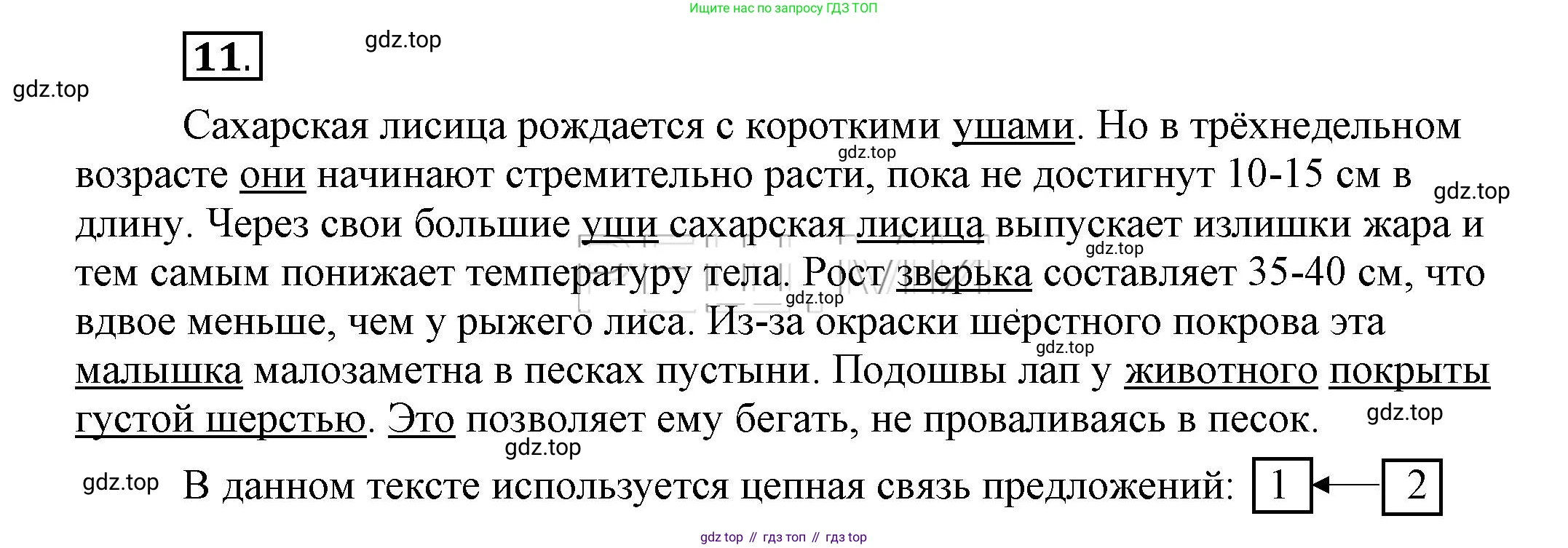 Русский язык, 6 класс Учебник, авторы: Быстрова Елена Александровна, Кибирёва Людмила Валентиновна, Гостева Юлия Николаевна, Антонова Евгения Станиславовна, издательство Русское слово, Москва, 2022, голубого цвета, Часть 1, страница 13, номер 11, Решение 2