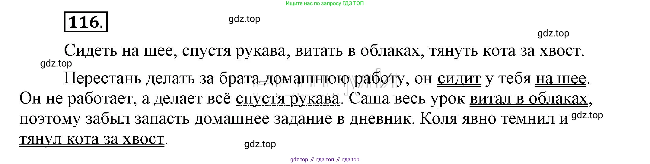 Русский язык, 6 класс Учебник, авторы: Быстрова Елена Александровна, Кибирёва Людмила Валентиновна, Гостева Юлия Николаевна, Антонова Евгения Станиславовна, издательство Русское слово, Москва, 2022, голубого цвета, Часть 1, страница 118, номер 116, Решение 2