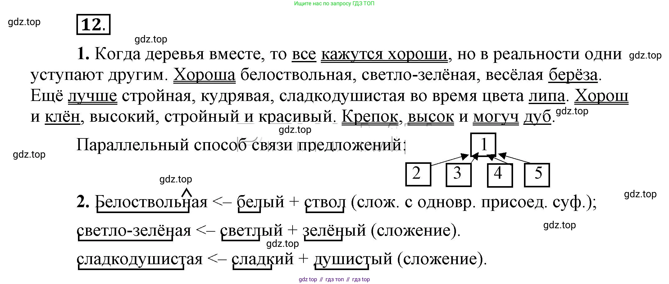 Русский язык, 6 класс Учебник, авторы: Быстрова Елена Александровна, Кибирёва Людмила Валентиновна, Гостева Юлия Николаевна, Антонова Евгения Станиславовна, издательство Русское слово, Москва, 2022, голубого цвета, Часть 1, страница 14, номер 12, Решение 2
