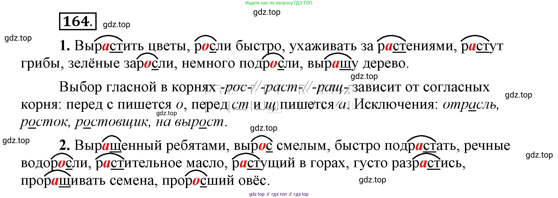 Русский язык, 6 класс Учебник, авторы: Быстрова Елена Александровна, Кибирёва Людмила Валентиновна, Гостева Юлия Николаевна, Антонова Евгения Станиславовна, издательство Русское слово, Москва, 2022, голубого цвета, Часть 1, страница 144, номер 164, Решение 2