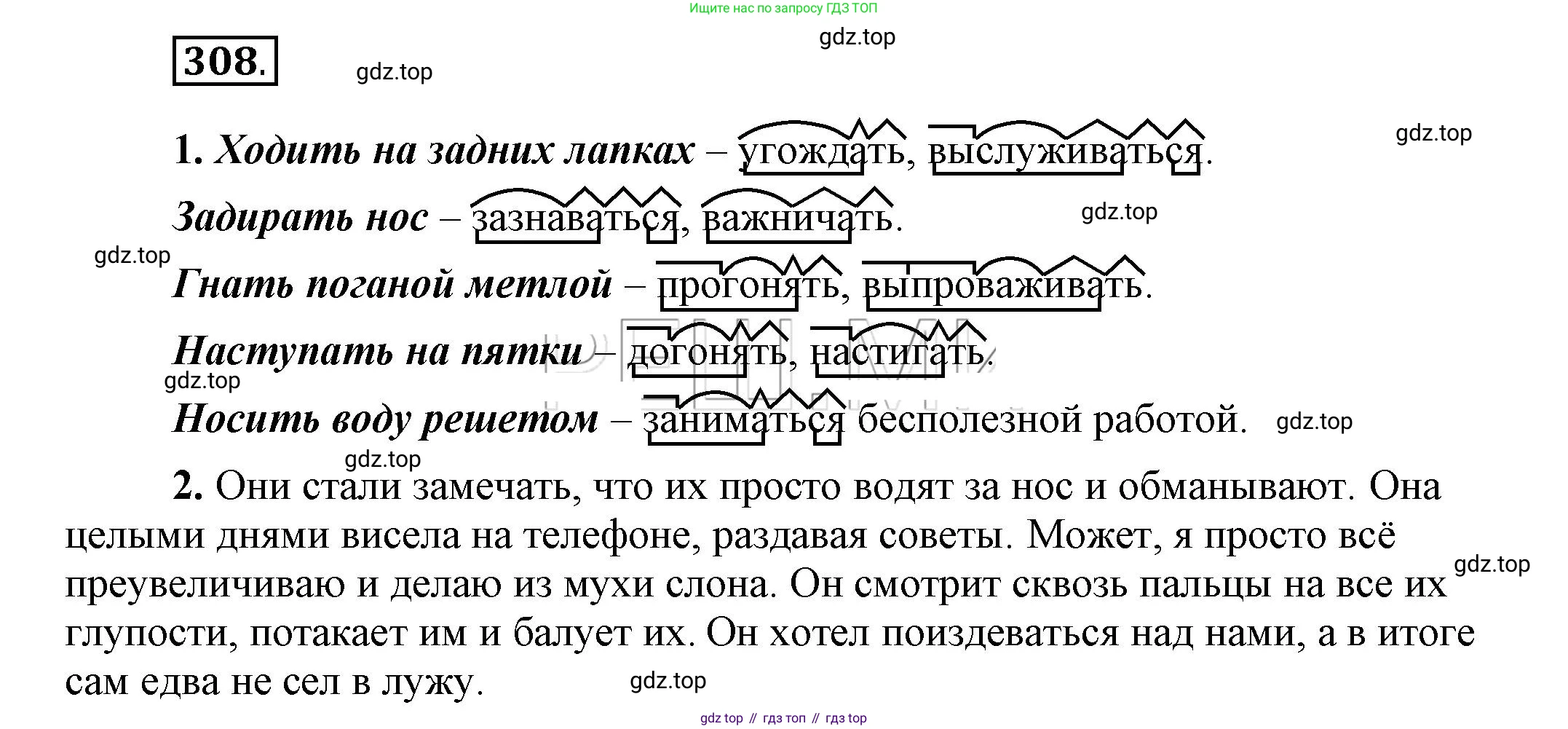 Русский язык, 6 класс Учебник, авторы: Быстрова Елена Александровна, Кибирёва Людмила Валентиновна, Гостева Юлия Николаевна, Антонова Евгения Станиславовна, издательство Русское слово, Москва, 2022, голубого цвета, Часть 1, страница 241, номер 308, Решение 2