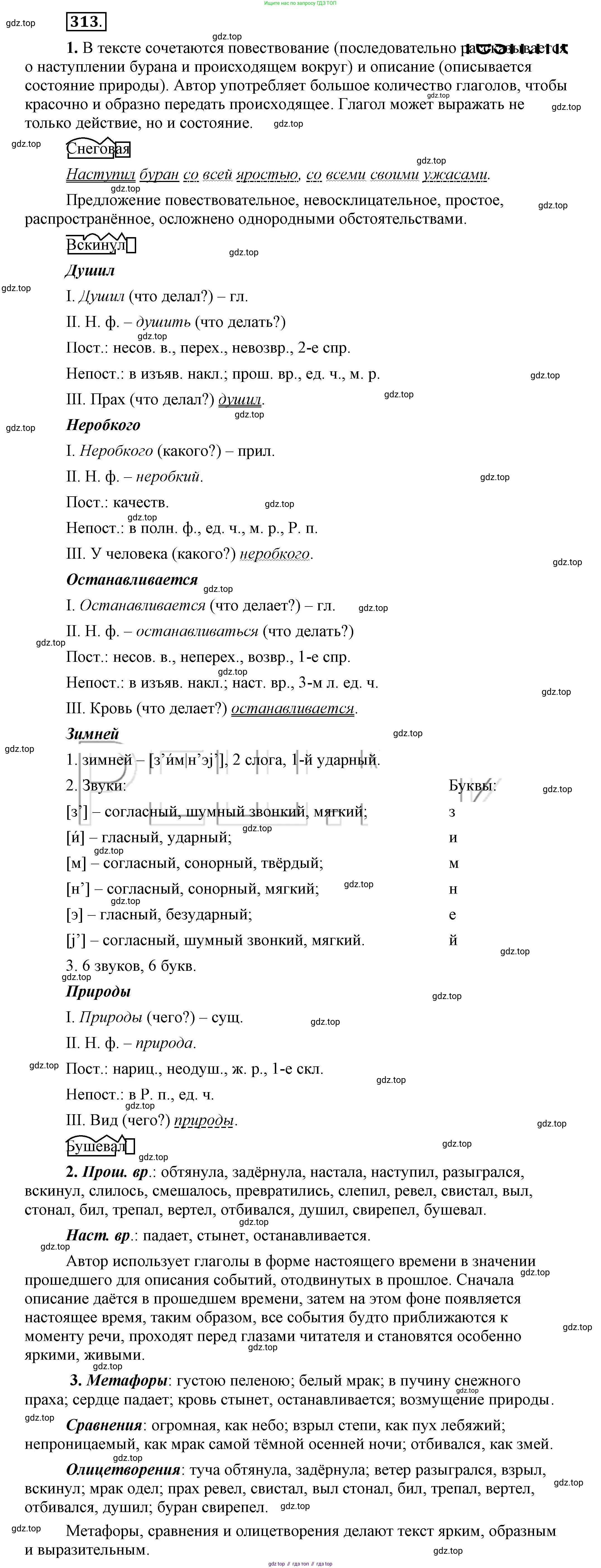 Русский язык, 6 класс Учебник, авторы: Быстрова Елена Александровна, Кибирёва Людмила Валентиновна, Гостева Юлия Николаевна, Антонова Евгения Станиславовна, издательство Русское слово, Москва, 2022, голубого цвета, Часть 1, страница 243, номер 313, Решение 2