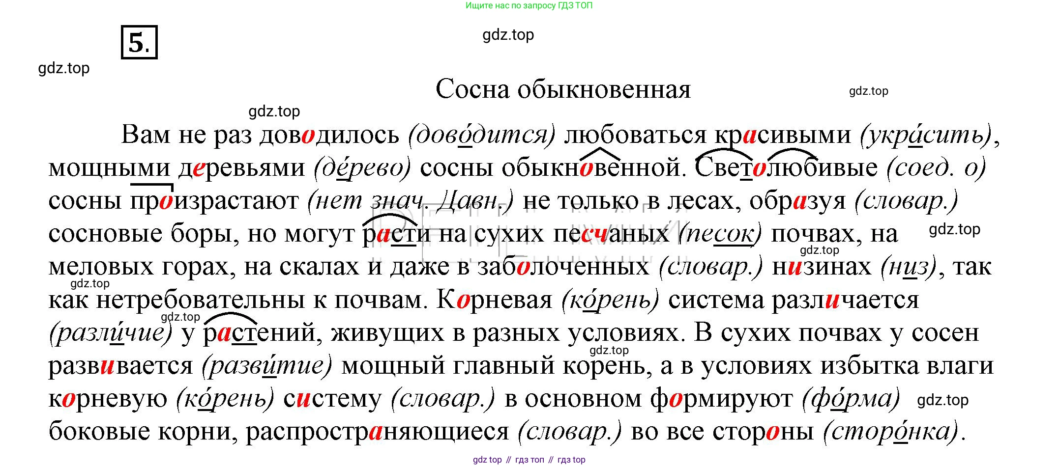 Русский язык, 6 класс Учебник, авторы: Быстрова Елена Александровна, Кибирёва Людмила Валентиновна, Гостева Юлия Николаевна, Антонова Евгения Станиславовна, издательство Русское слово, Москва, 2022, голубого цвета, Часть 1, страница 7, номер 5, Решение 2