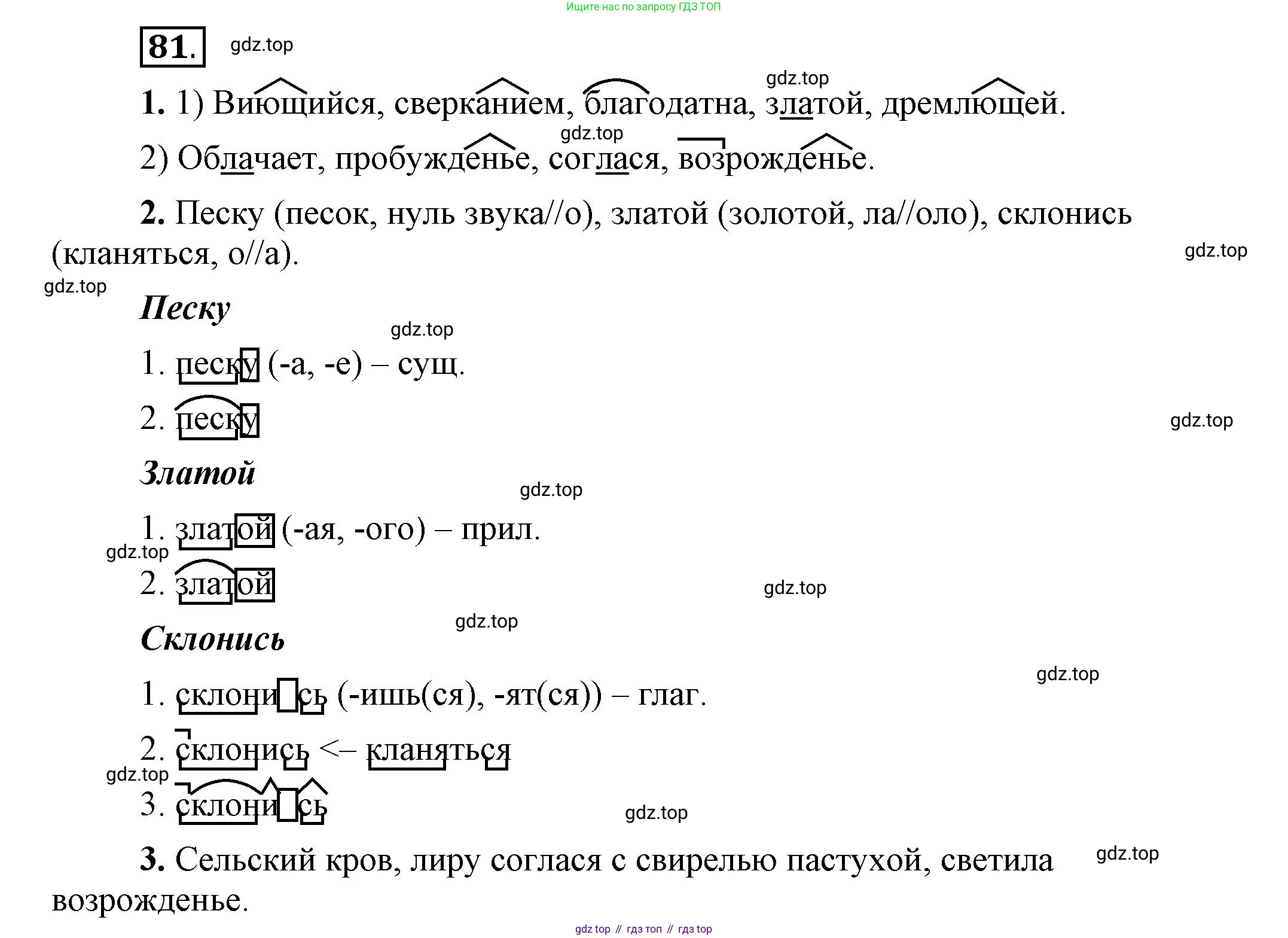 Русский язык, 6 класс Учебник, авторы: Быстрова Елена Александровна, Кибирёва Людмила Валентиновна, Гостева Юлия Николаевна, Антонова Евгения Станиславовна, издательство Русское слово, Москва, 2022, голубого цвета, Часть 1, страница 84, номер 81, Решение 2