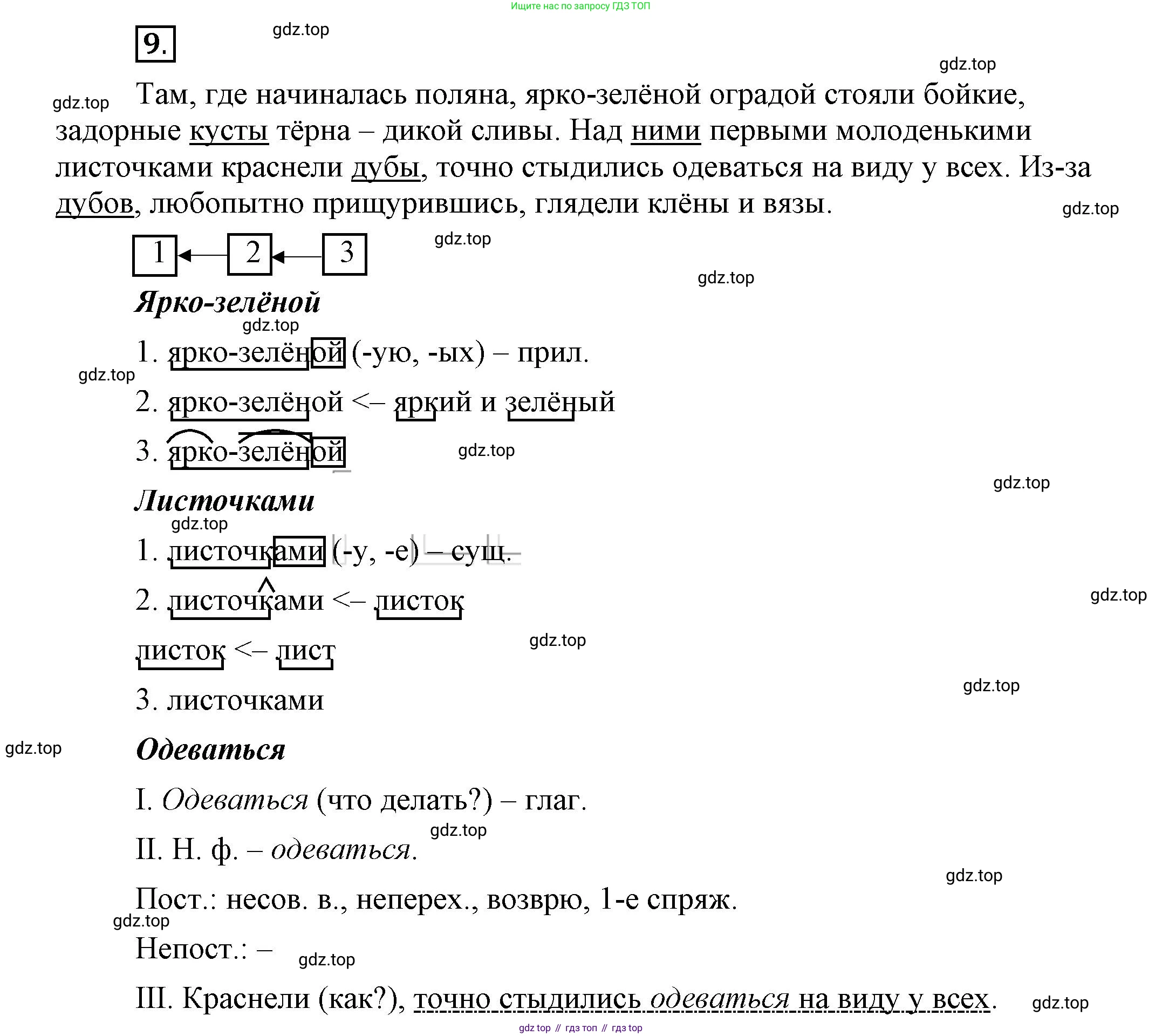 Русский язык, 6 класс Учебник, авторы: Быстрова Елена Александровна, Кибирёва Людмила Валентиновна, Гостева Юлия Николаевна, Антонова Евгения Станиславовна, издательство Русское слово, Москва, 2022, голубого цвета, Часть 1, страница 12, номер 9, Решение 2