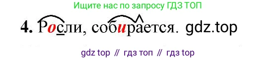 Русский язык, 6 класс Учебник, авторы: Быстрова Елена Александровна, Кибирёва Людмила Валентиновна, Гостева Юлия Николаевна, Антонова Евгения Станиславовна, издательство Русское слово, Москва, 2022, голубого цвета, Часть 2, страница 141, номер 4, Решение 2