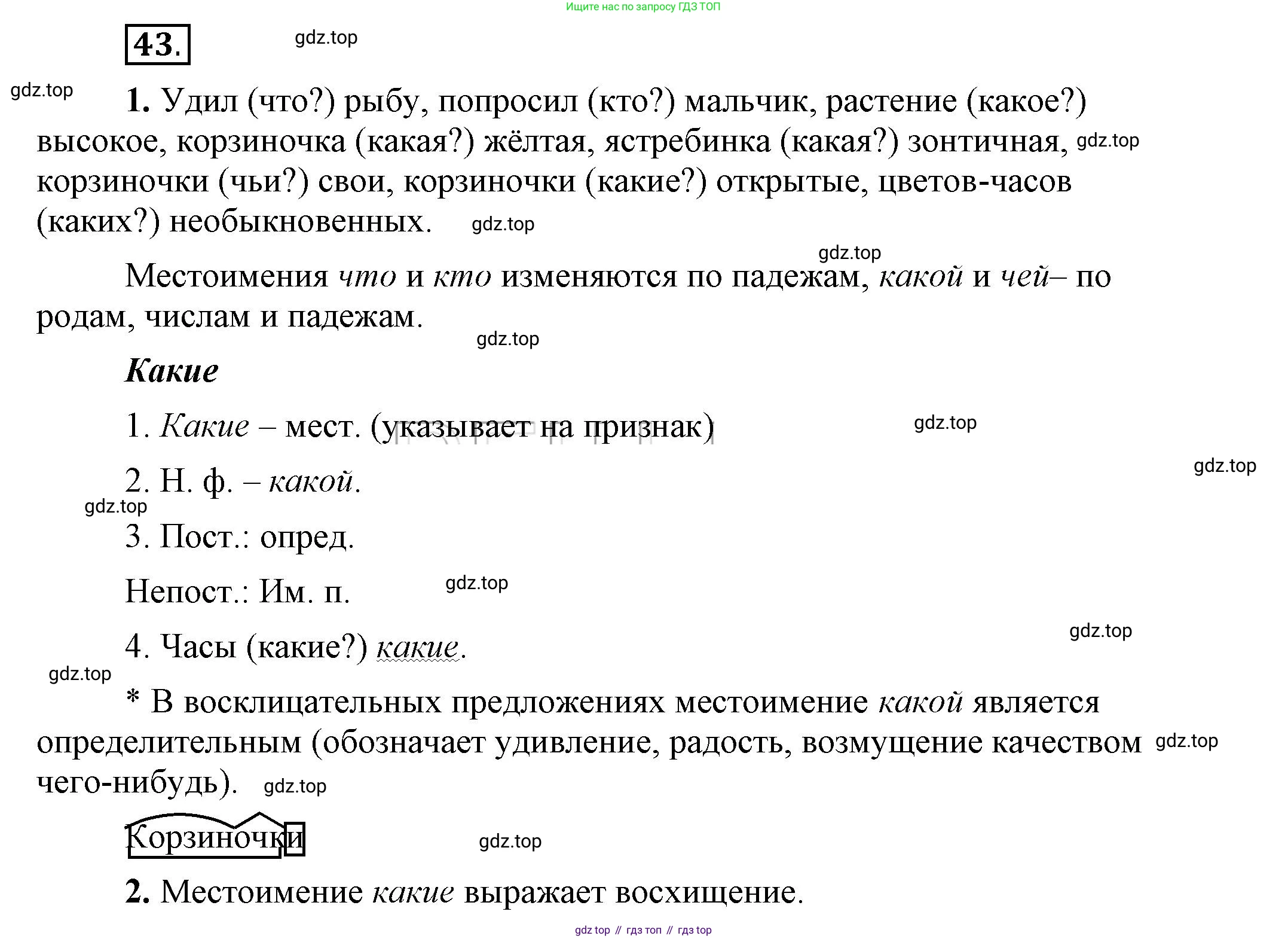 Русский язык, 6 класс Учебник, авторы: Быстрова Елена Александровна, Кибирёва Людмила Валентиновна, Гостева Юлия Николаевна, Антонова Евгения Станиславовна, издательство Русское слово, Москва, 2022, голубого цвета, Часть 2, страница 38, номер 43, Решение 2