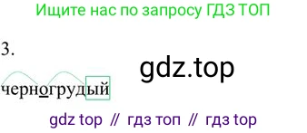 Русский язык, 6 класс Учебник, авторы: Быстрова Елена Александровна, Кибирёва Людмила Валентиновна, Гостева Юлия Николаевна, Антонова Евгения Станиславовна, издательство Русское слово, Москва, 2022, голубого цвета, Часть 1, страница 176, номер 3, Решение 3