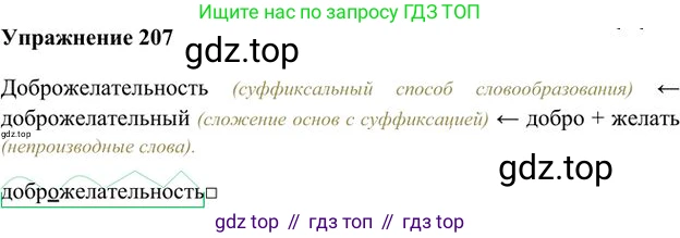 Русский язык, 6 класс Учебник, авторы: Быстрова Елена Александровна, Кибирёва Людмила Валентиновна, Гостева Юлия Николаевна, Антонова Евгения Станиславовна, издательство Русское слово, Москва, 2022, голубого цвета, Часть 1, страница 169, номер 207, Решение 3