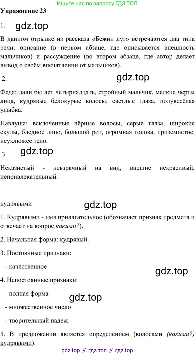 Русский язык, 6 класс Учебник, авторы: Быстрова Елена Александровна, Кибирёва Людмила Валентиновна, Гостева Юлия Николаевна, Антонова Евгения Станиславовна, издательство Русское слово, Москва, 2022, голубого цвета, Часть 1, страница 24, номер 23, Решение 3