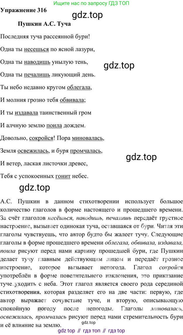 Русский язык, 6 класс Учебник, авторы: Быстрова Елена Александровна, Кибирёва Людмила Валентиновна, Гостева Юлия Николаевна, Антонова Евгения Станиславовна, издательство Русское слово, Москва, 2022, голубого цвета, Часть 1, страница 246, номер 316, Решение 3