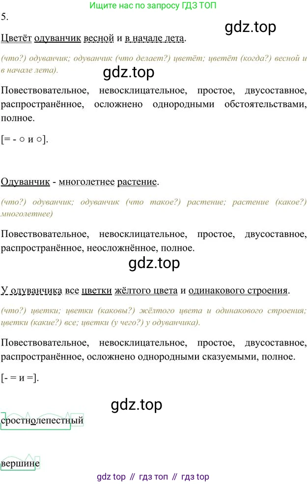 Русский язык, 6 класс Учебник, авторы: Быстрова Елена Александровна, Кибирёва Людмила Валентиновна, Гостева Юлия Николаевна, Антонова Евгения Станиславовна, издательство Русское слово, Москва, 2022, голубого цвета, Часть 1, страница 43, номер 36, Решение 3 (продолжение 2)