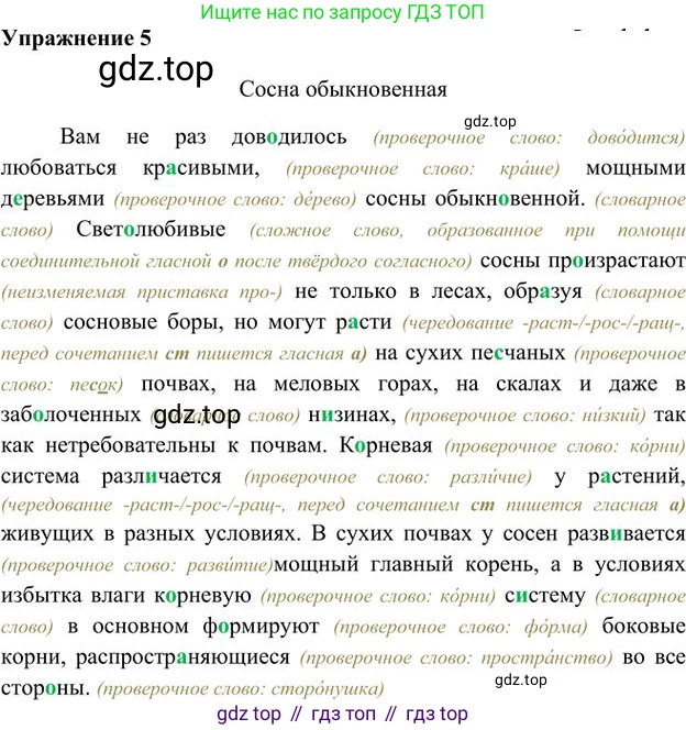 Русский язык, 6 класс Учебник, авторы: Быстрова Елена Александровна, Кибирёва Людмила Валентиновна, Гостева Юлия Николаевна, Антонова Евгения Станиславовна, издательство Русское слово, Москва, 2022, голубого цвета, Часть 1, страница 7, номер 5, Решение 3