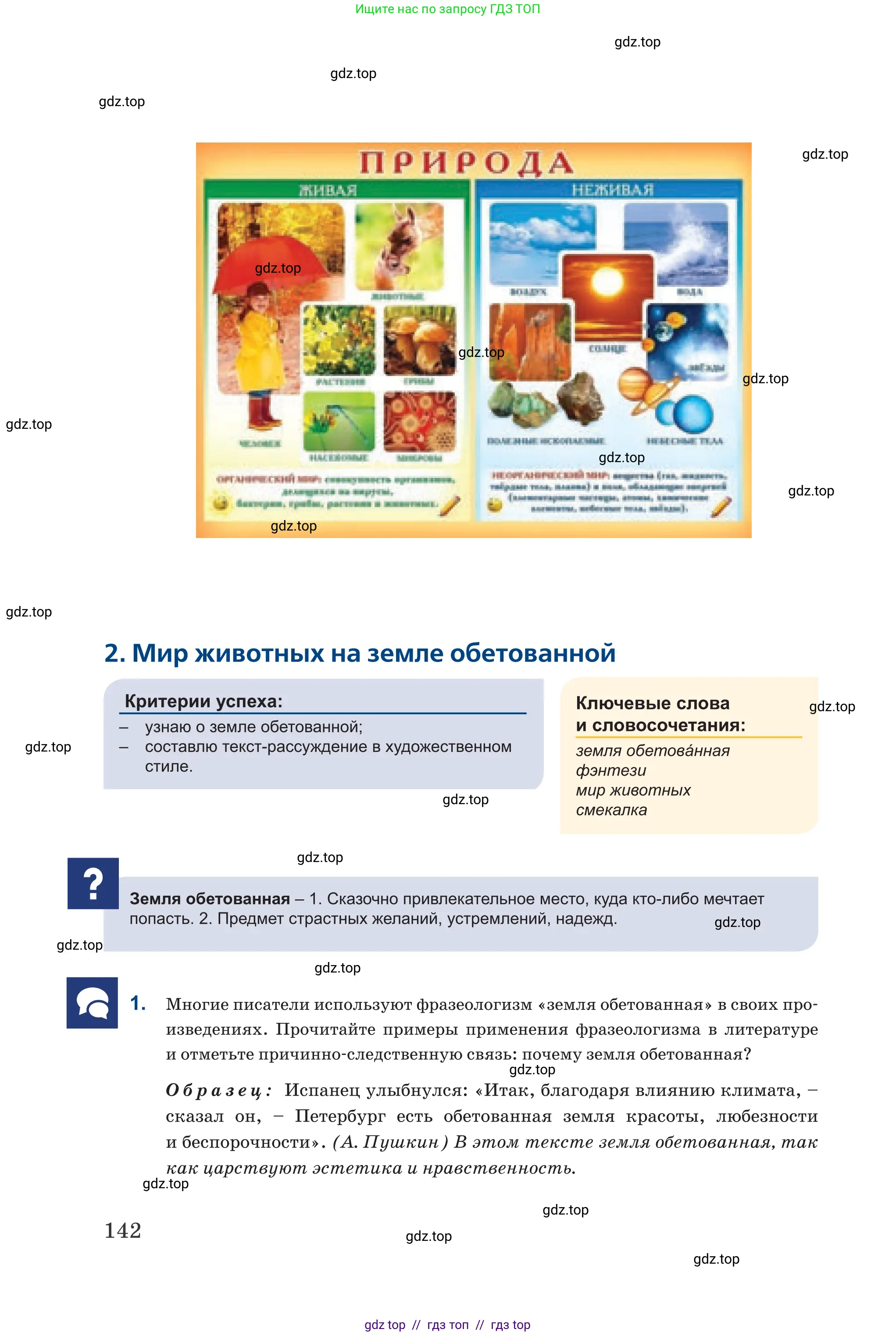 Русский язык, 6 класс Учебник, авторы: Капенова Жанарсын Жуматовна, Валова Мария Валерьевна, Мирошникова Наталья Владимировна, издательство Арман-ПВ, Астана, 2018, страница 142