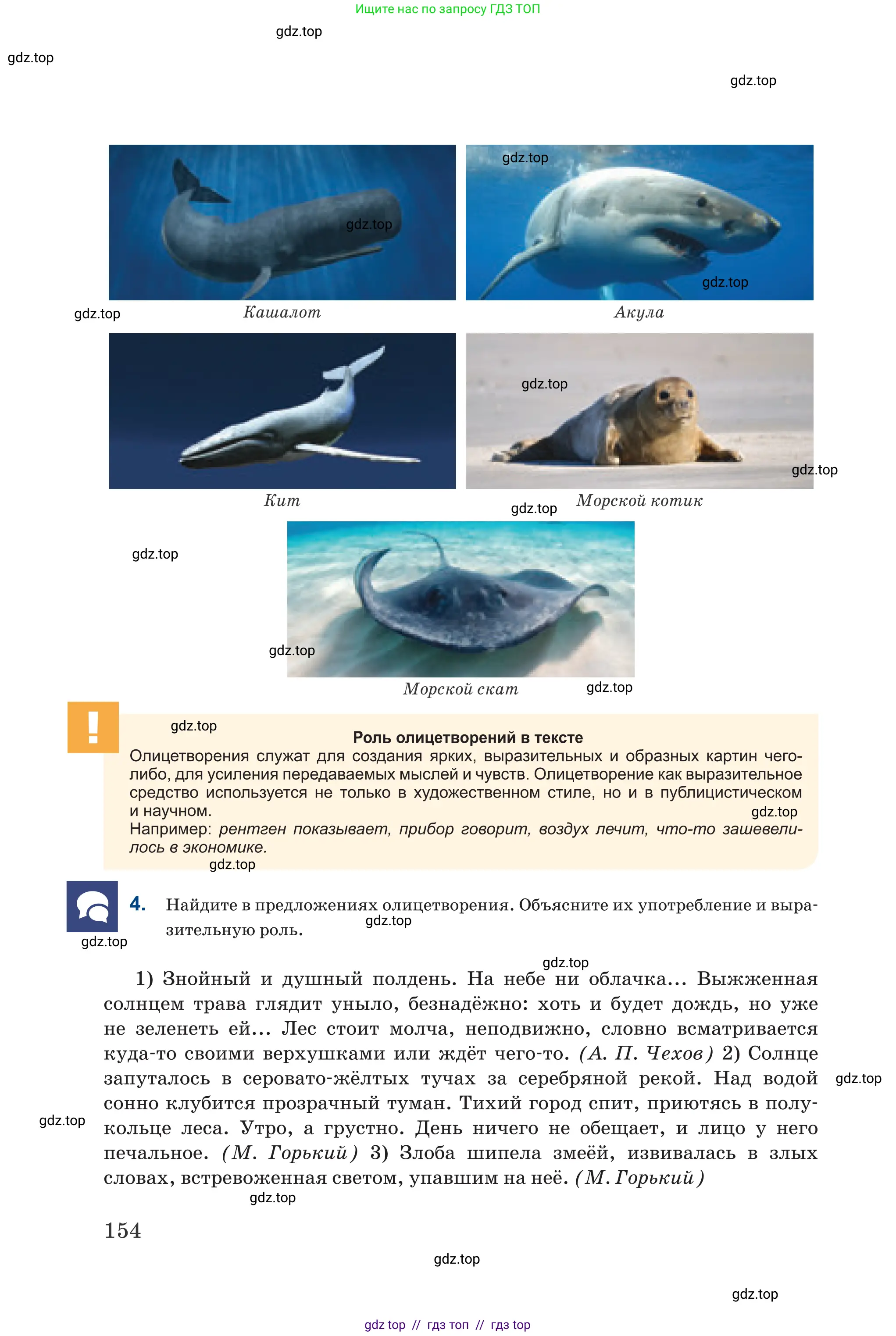 Русский язык, 6 класс Учебник, авторы: Капенова Жанарсын Жуматовна, Валова Мария Валерьевна, Мирошникова Наталья Владимировна, издательство Арман-ПВ, Астана, 2018, страница 154