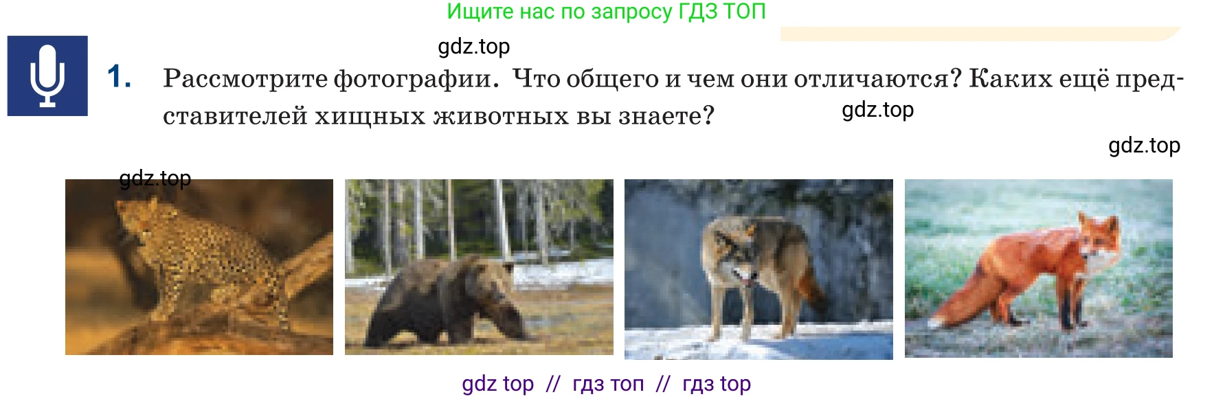 Русский язык, 6 класс Учебник, авторы: Капенова Жанарсын Жуматовна, Валова Мария Валерьевна, Мирошникова Наталья Владимировна, издательство Арман-ПВ, Астана, 2018, страница 145, номер 1, Условие