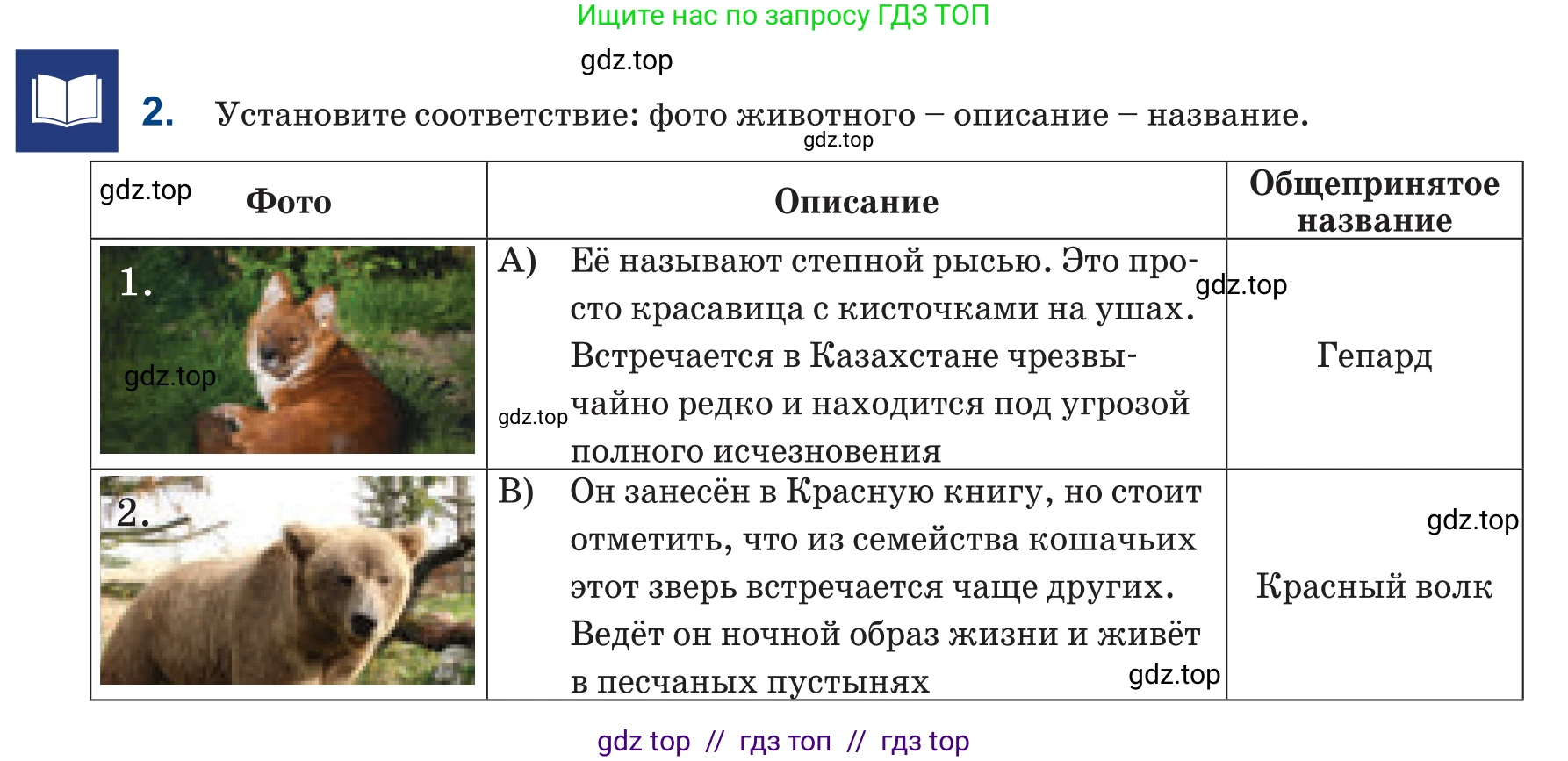 Русский язык, 6 класс Учебник, авторы: Капенова Жанарсын Жуматовна, Валова Мария Валерьевна, Мирошникова Наталья Владимировна, издательство Арман-ПВ, Астана, 2018, страница 157, номер 2, Условие