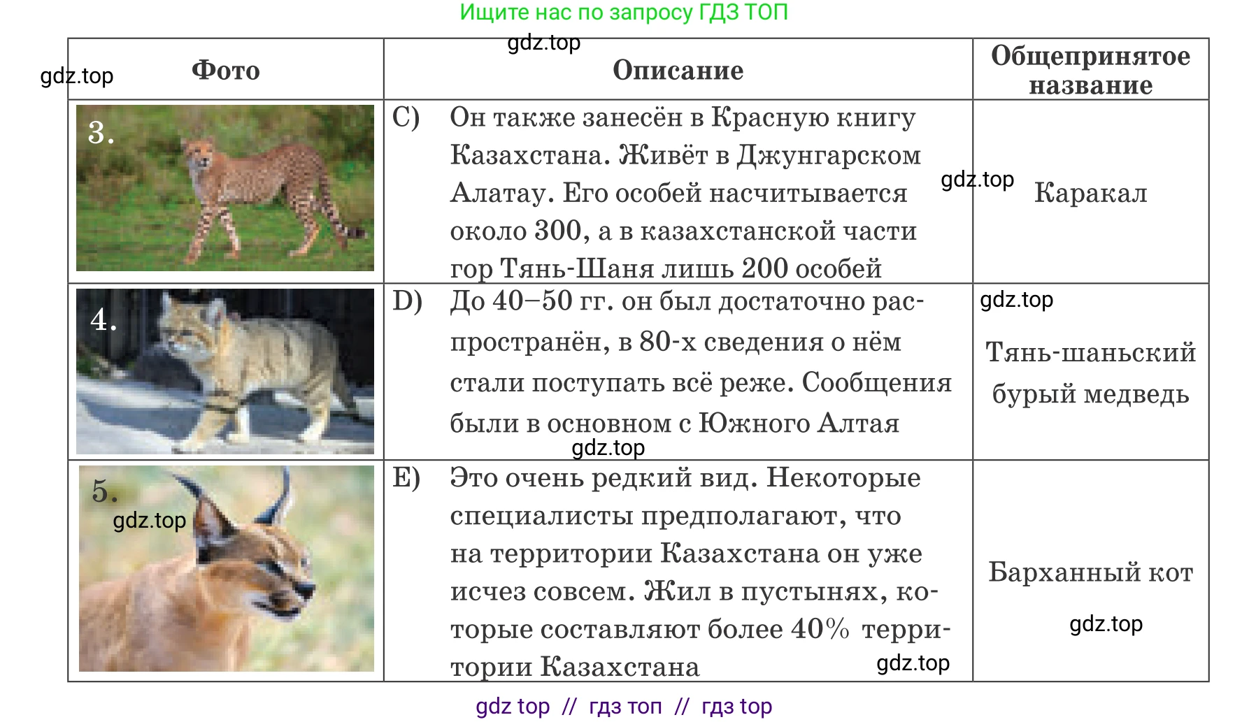 Русский язык, 6 класс Учебник, авторы: Капенова Жанарсын Жуматовна, Валова Мария Валерьевна, Мирошникова Наталья Владимировна, издательство Арман-ПВ, Астана, 2018, страница 157, номер 2, Условие (продолжение 2)