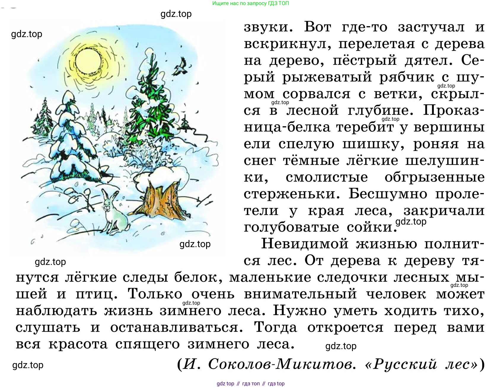 ГДЗ Русский язык, 6 класс Учебник, авторы: Баранов Михаил Трофимович, Ладыженская Таиса Алексеевна, Тростенцова Лидия Александровна, Ладыженская Наталия Вениаминовна, Дейкина Алевтина Дмитриевна, Антонова Любовь Геннадиевна, Григорян Лариса Трофимовна, Кулибаба Иван Иванович, издательство Просвещение, Москва, 2023, салатового цвета, Часть 1, страница 77, номер 142, Условие 2024 (продолжение 2)