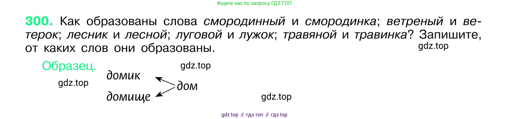 ГДЗ Русский язык, 6 класс Учебник, авторы: Баранов Михаил Трофимович, Ладыженская Таиса Алексеевна, Тростенцова Лидия Александровна, Ладыженская Наталия Вениаминовна, Дейкина Алевтина Дмитриевна, Антонова Любовь Геннадиевна, Григорян Лариса Трофимовна, Кулибаба Иван Иванович, издательство Просвещение, Москва, 2023, салатового цвета, Часть 1, страница 157, номер 300, Условие 2024