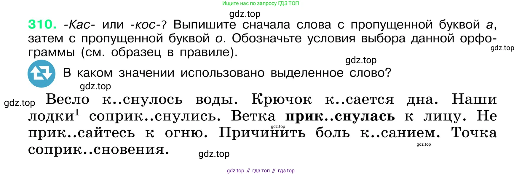 ГДЗ Русский язык, 6 класс Учебник, авторы: Баранов Михаил Трофимович, Ладыженская Таиса Алексеевна, Тростенцова Лидия Александровна, Ладыженская Наталия Вениаминовна, Дейкина Алевтина Дмитриевна, Антонова Любовь Геннадиевна, Григорян Лариса Трофимовна, Кулибаба Иван Иванович, издательство Просвещение, Москва, 2023, салатового цвета, Часть 1, страница 162, номер 310, Условие 2024