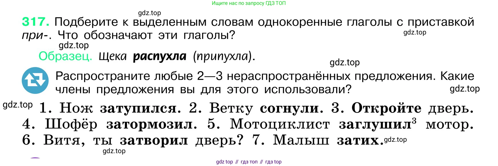 ГДЗ Русский язык, 6 класс Учебник, авторы: Баранов Михаил Трофимович, Ладыженская Таиса Алексеевна, Тростенцова Лидия Александровна, Ладыженская Наталия Вениаминовна, Дейкина Алевтина Дмитриевна, Антонова Любовь Геннадиевна, Григорян Лариса Трофимовна, Кулибаба Иван Иванович, издательство Просвещение, Москва, 2023, салатового цвета, Часть 1, страница 166, номер 317, Условие 2024