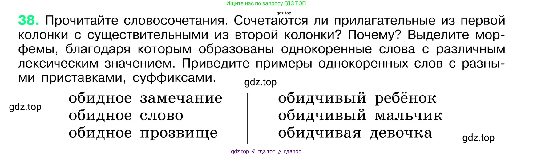 ГДЗ Русский язык, 6 класс Учебник, авторы: Баранов Михаил Трофимович, Ладыженская Таиса Алексеевна, Тростенцова Лидия Александровна, Ладыженская Наталия Вениаминовна, Дейкина Алевтина Дмитриевна, Антонова Любовь Геннадиевна, Григорян Лариса Трофимовна, Кулибаба Иван Иванович, издательство Просвещение, Москва, 2023, салатового цвета, Часть 1, страница 19, номер 38, Условие 2024