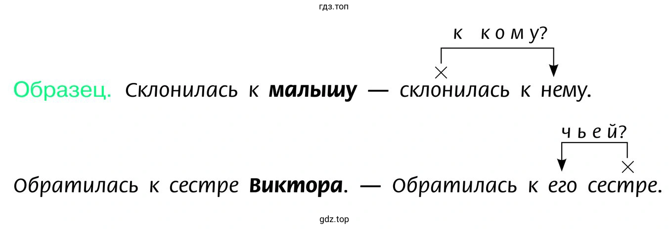 Заменить выделенные существительные местоимениями. В каких словосочетаниях местоимения обозначают принадлежность?