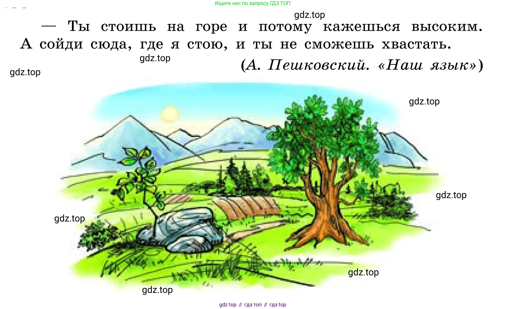 ГДЗ Русский язык, 6 класс Учебник, авторы: Баранов Михаил Трофимович, Ладыженская Таиса Алексеевна, Тростенцова Лидия Александровна, Ладыженская Наталия Вениаминовна, Дейкина Алевтина Дмитриевна, Антонова Любовь Геннадиевна, Григорян Лариса Трофимовна, Кулибаба Иван Иванович, издательство Просвещение, Москва, 2023, салатового цвета, Часть 2, страница 135, номер 672, Условие 2024 (продолжение 2)