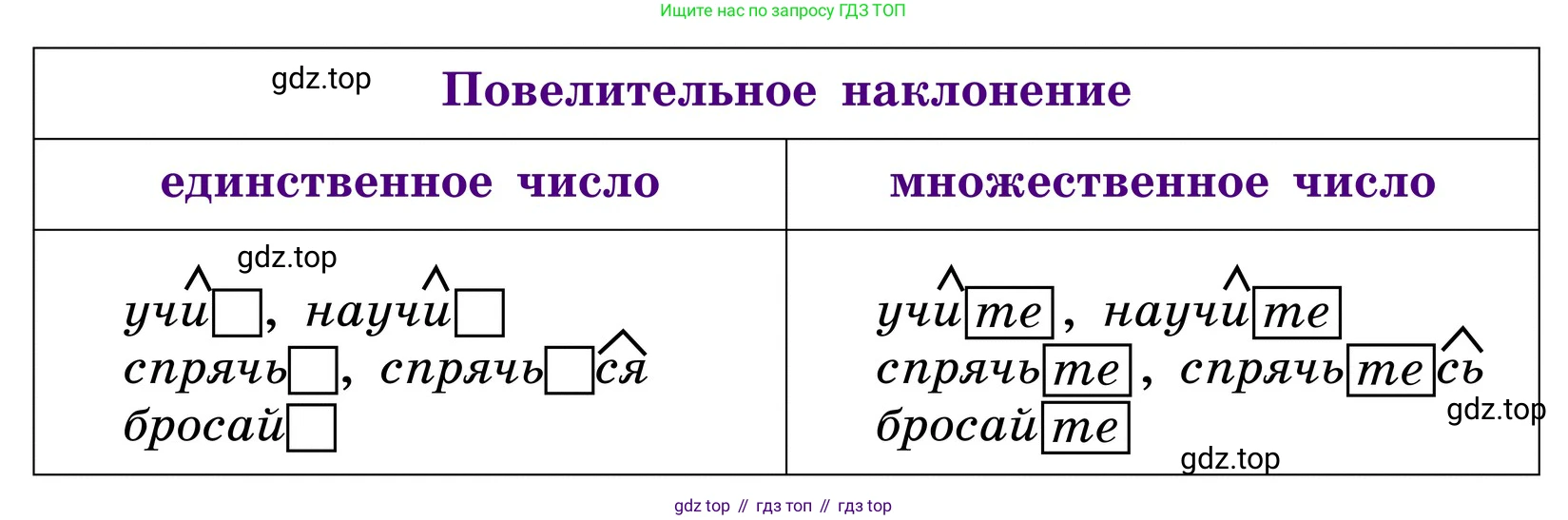 ГДЗ Русский язык, 6 класс Учебник, авторы: Баранов Михаил Трофимович, Ладыженская Таиса Алексеевна, Тростенцова Лидия Александровна, Ладыженская Наталия Вениаминовна, Дейкина Алевтина Дмитриевна, Антонова Любовь Геннадиевна, Григорян Лариса Трофимовна, Кулибаба Иван Иванович, издательство Просвещение, Москва, 2023, салатового цвета, Часть 2, страница 142, Условие 2024 (продолжение 3)