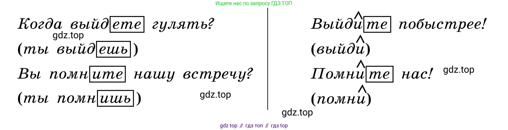 ГДЗ Русский язык, 6 класс Учебник, авторы: Баранов Михаил Трофимович, Ладыженская Таиса Алексеевна, Тростенцова Лидия Александровна, Ладыженская Наталия Вениаминовна, Дейкина Алевтина Дмитриевна, Антонова Любовь Геннадиевна, Григорян Лариса Трофимовна, Кулибаба Иван Иванович, издательство Просвещение, Москва, 2023, салатового цвета, Часть 2, страница 142, Условие 2024 (продолжение 5)